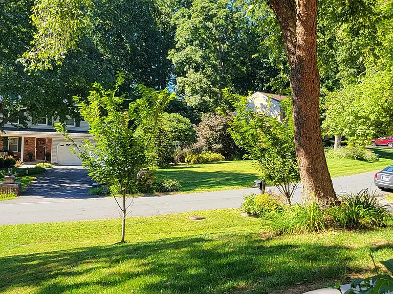 317 Soapstone Ln — Photo 18