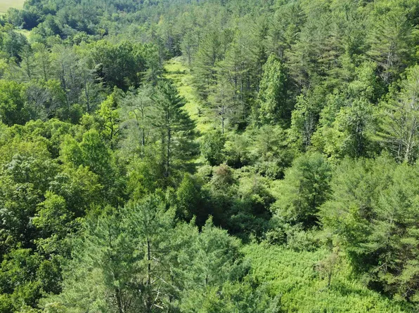 0000 Skiparee Road, Pownal, VT 05261