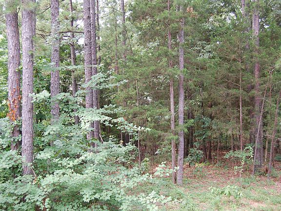 View from screened in porch