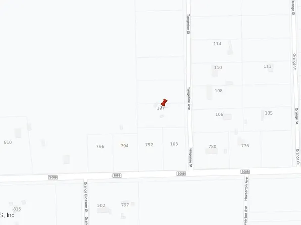 107 TANGERINE Street, Pomona Park, FL 32181