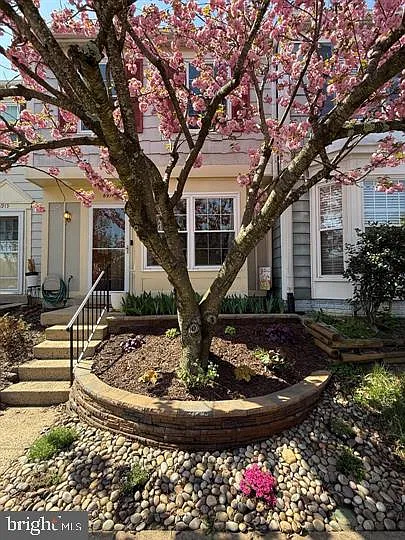 2 bed, 1.5 bath, 1068 sqft, $3,000 — Photo 1