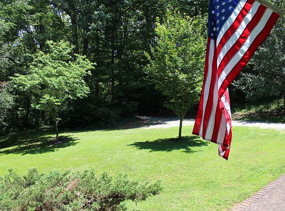 Front Yard