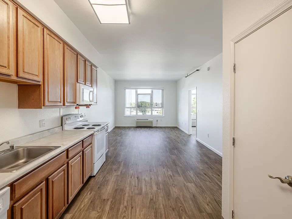 Open-concept kitchen and living area with expansive natural light and sleek wood-style flooring.