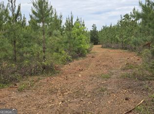 12 Marvin Murphy Rd, Ellaville, GA 31806