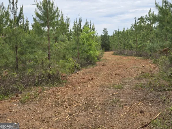 12 Marvin Murphy Rd, Ellaville, GA 31806