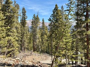 313 Porcupine Rd, Fairplay, CO 80440