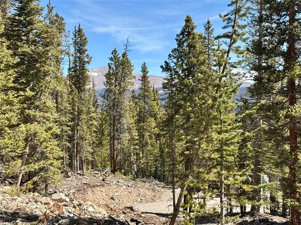 313 Porcupine Rd, Fairplay, CO 80440