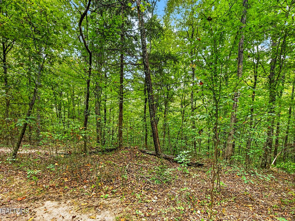 1st image of 24 Timber Ridge Ln