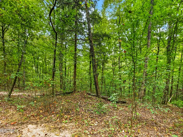 24 Timber Ridge Ln, Celina, TN 38551