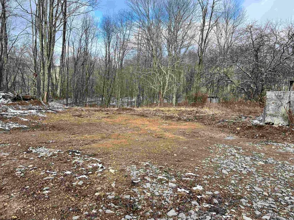 1154 Brady Gate Rd, Valley Head, WV 26294