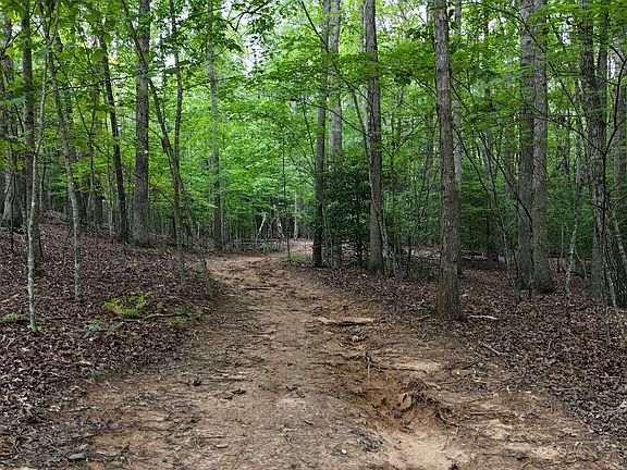 2nd image of Carter Ln Lot 17