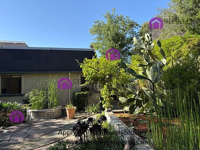 1484 Cortez Ct — Photo 43
