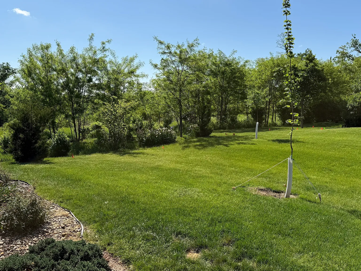 2 bed, 900 sqft, $950 — Photo 1