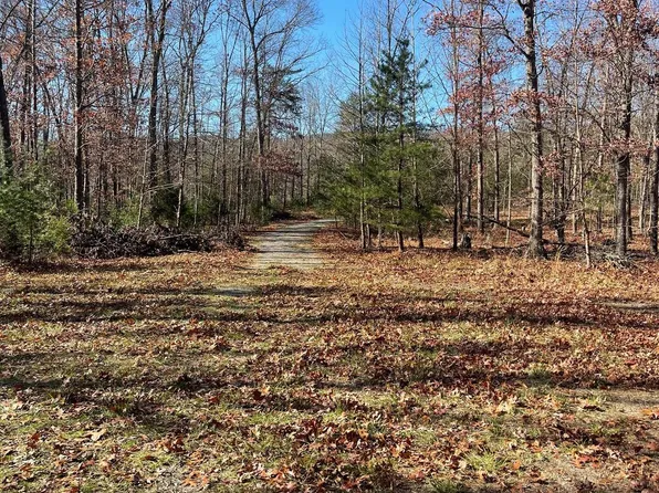 Hannah Ct, Yellow Spring, WV 26865