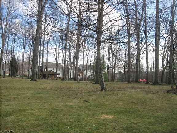 3rd image of 16055 Forestwood Dr
