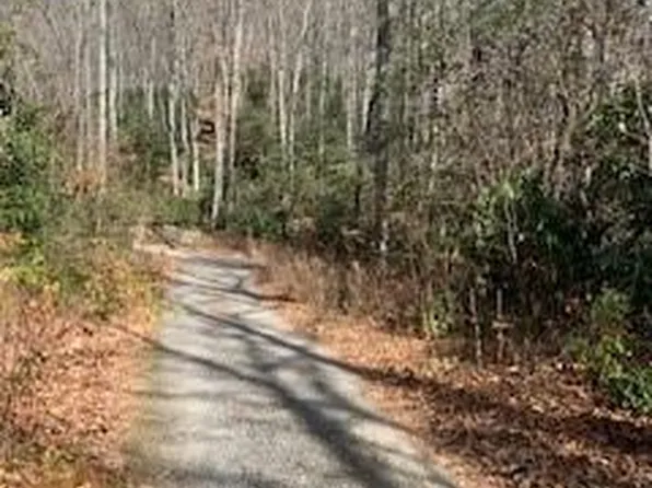 Tbd Greybeard Trl, Montreat, NC 28757