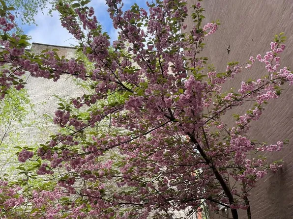 183 De Kalb Avenue image 1 of 13