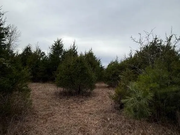 5387 Hurryville Rd, Farmington, MO 63640