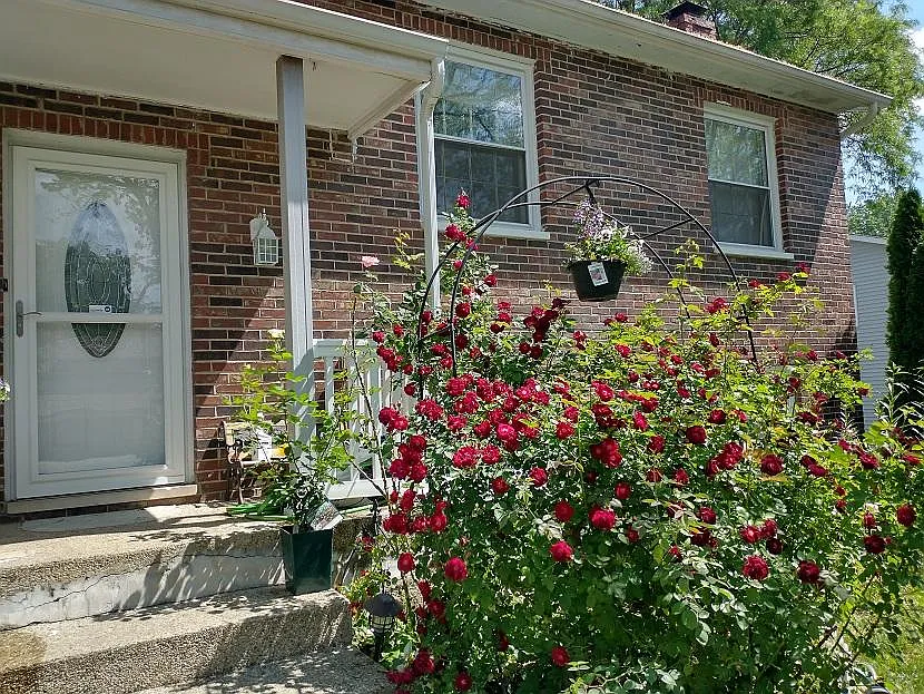 4 bed, 1740 sqft, $3,050 — Photo 2