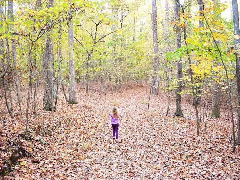 Trail to lake behind our house.