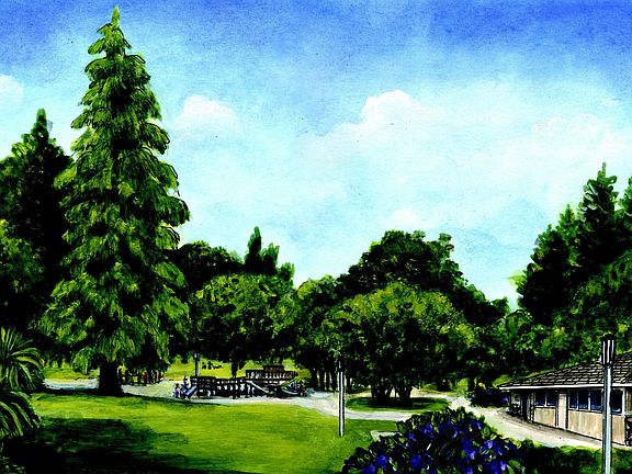Ponderosa Park