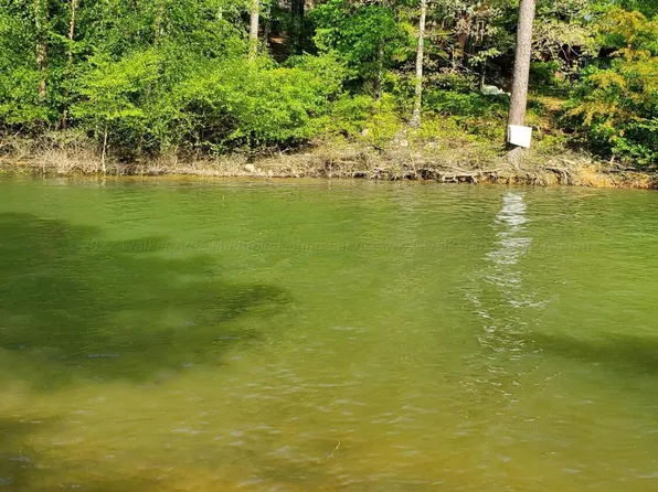 8 Sunny Ln, Arley, AL 35541