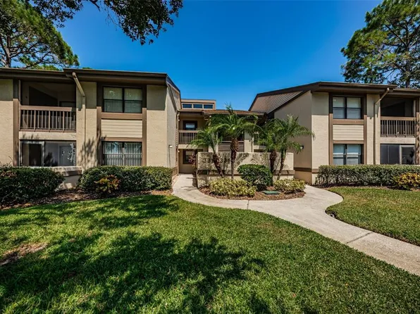 335 Woodlake Wynde, Oldsmar, FL 34677
