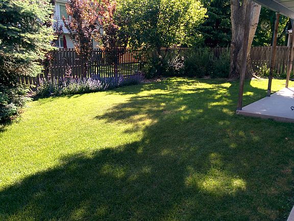 Fully fenced back yard