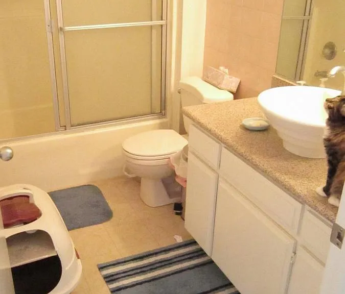 5320 Whitsett Ave #8 — Photo 22