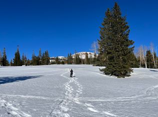 167 W Zion View Dr UNIT 3, Brian Head, UT 84719