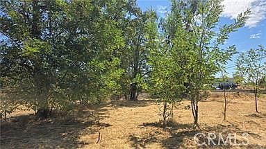 5th image of 810 Roe Rd