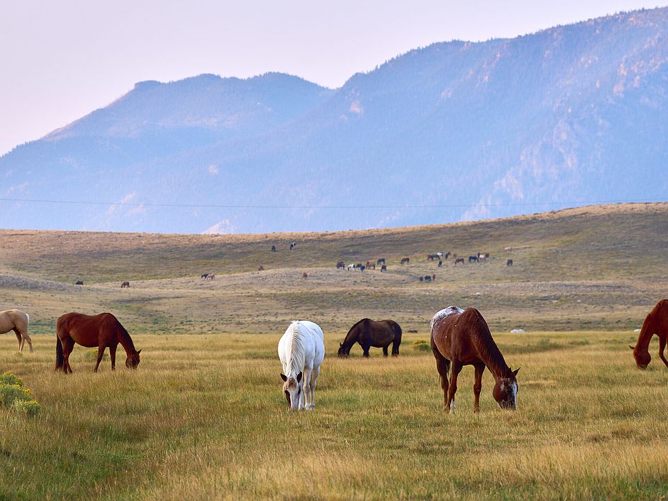1st image of Sheep Mountain Rd