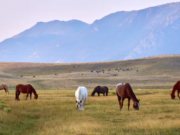 Sheep Mountain Rd, Laramie, WY 82070