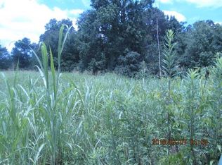 Ellis Cir, Chatsworth, GA 30705