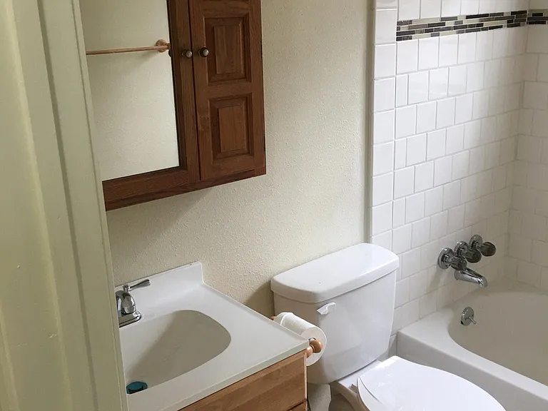 Master bedroom bathroom