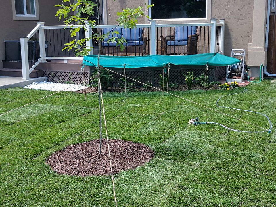Front Yard