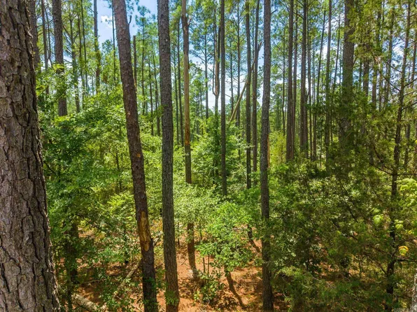 13 Victoria Ln, Hot Springs Village, AR 71909