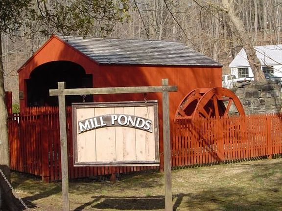 Unique Mill Ponds Community