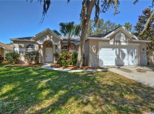 4729 Portobello Cir, Valrico, FL 33596