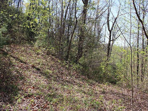 5th image of 1557 Mountain Laurel Dr