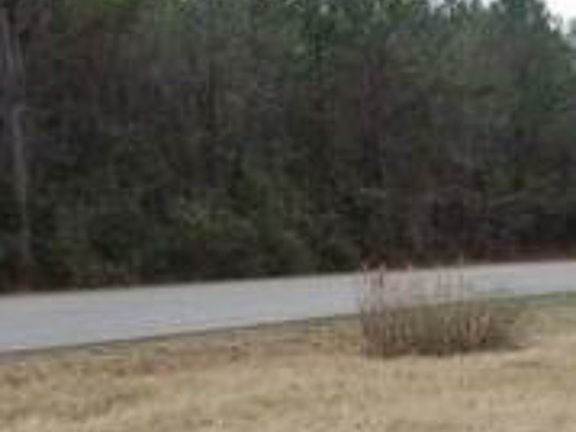 Exterior Neighborhood (street photo)