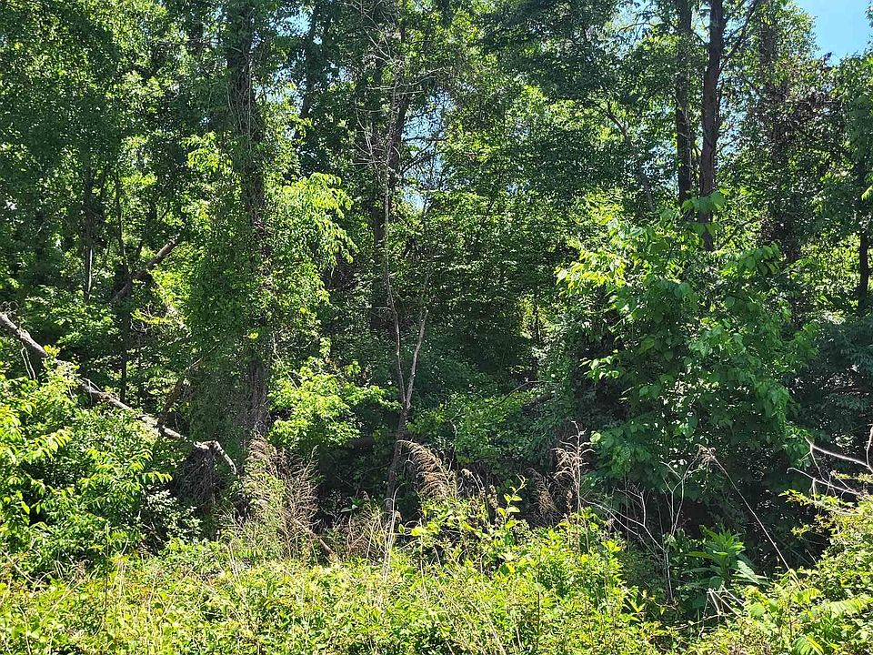2nd image of 160 Lincoln Rd