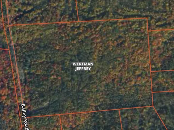 0 Bailey Rd, Saint Regis Falls, NY 12980