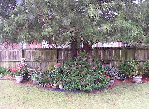 Beautiful landscaping