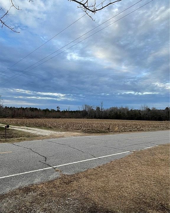 2nd image of W White Pond Rd