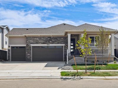 19170 E 96th Place, Commerce City, CO, 80022