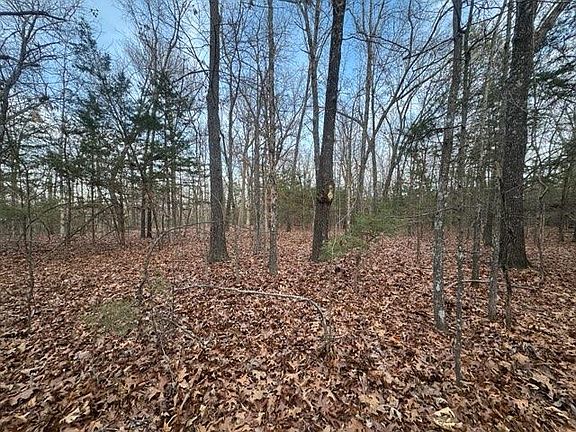 5th image of Locust Rd
