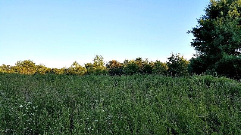 2nd image of 0 Walker Rd