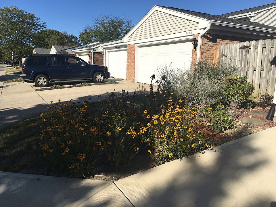 Garden by driveway  
