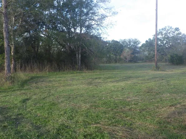 Fm Cr County Road 319, Brazoria, TX 77422